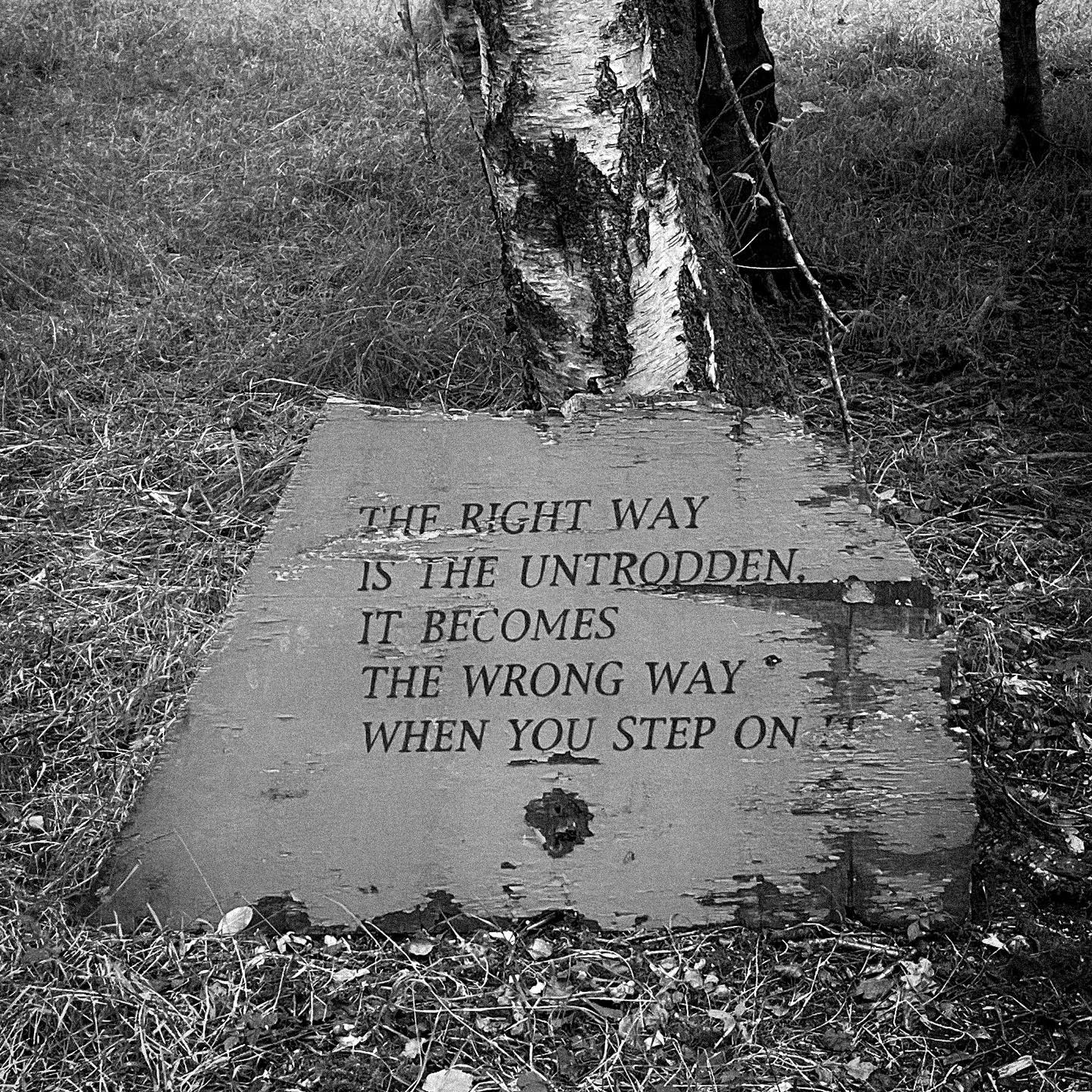 the-right-way-is-the-untrodden